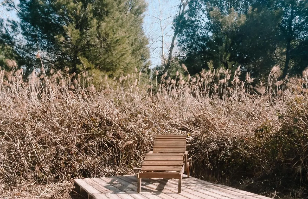 카스테데펠스 Cooltainer Retreat Sustainable Coastal Forest Tiny House Near Barcelona By Quirkygetaway 빌라 펜션